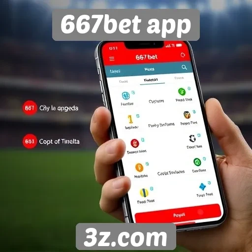 Avaliação das funcionalidades do app 667bet